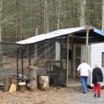 prepper survivalist cabin